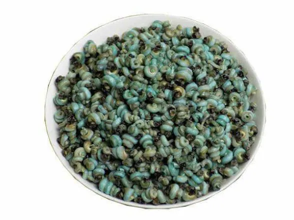 Periwinkles