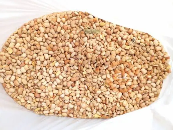 Honey Beans (Oloyin)